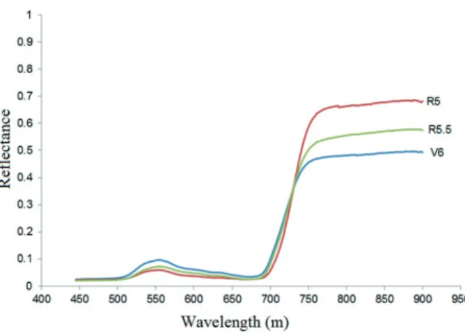 Figure 2. Spectral response of the soybean crop to the three  different crop growth stages studied.