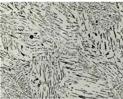 Figura  3.17  Imagem  de  microscopia  ótica  do  metal  de  solda  usando  7,4  kJ/mm  –  Bainita Superior (500X) [22] 