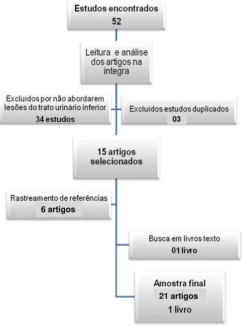 Figura 2. Fluxograma com as etapas de seleção da amostra para composição  da Análise de Conceito