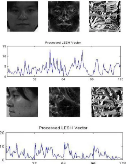 Figura 2.5 – Modelo energético de uma imagem frontal e uma lateral de uma face e vetor de características extraídas  pelo LESH (Sarfraz e Hellwich, 2008) 