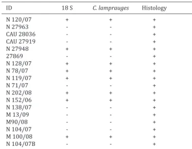 Table 2. Comparison results of 18S rDNA and Conidiobolus  lamprauges PCR for ovine paraffin embedded tissues 