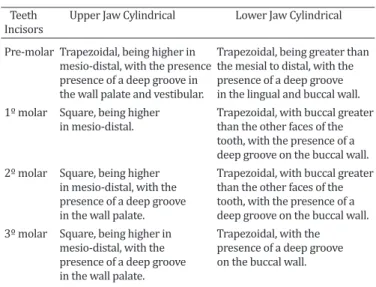 Table 4. Lower Jaw: Morphology of the lower jaw dental root  Dasyprocta prymnolopha
