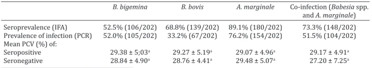 Table 1. Packed cell volume (PCV) and prevalence of Babesia bigemina, Babesia bovis and Anaplasma  marginale by serological or molecular diagnostic methods applied to cattle from the dairy basin of 