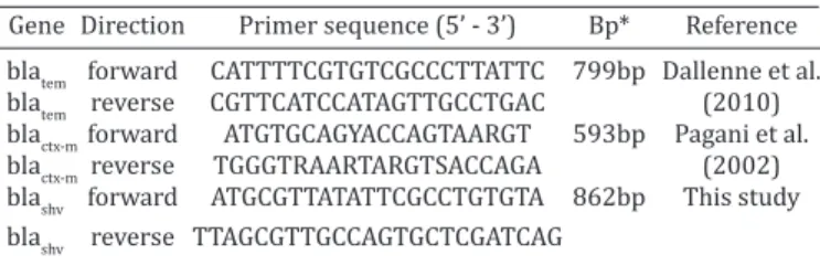 Table 2. Absolute frequency (N) and source of positives  samples for the isolation of Klebsiella pneumoniae according 