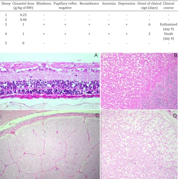 Table 2. Experimental reproduction: Closantel dose, clinical signs and evolution   Sheep  Closantel dose  Blindness  Pupillary reflex  Recumbence  Anorexia  Depression  Onset of clinical  Clinical