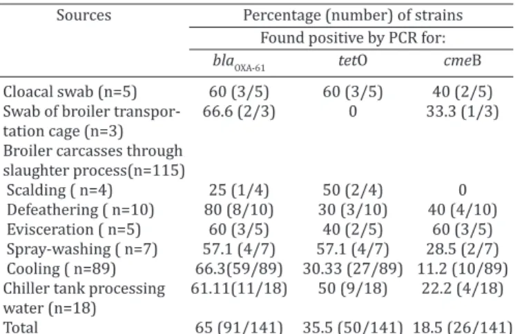Table 2. Distribution of resistance markers among   Campylobacter spp. tested according to the source of isolation