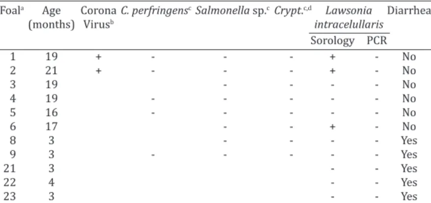 Table 1. Examinations performed for certain causative agents of   diarrhea in stool and serum samples of 11 foals