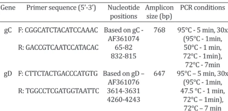 Table 1. Primers and PCR conditions used to amplified   fragments of glycoproteins C and D of Canid Herpesvirus-1  Gene  Primer sequence (5’-3’)  Nucleotide  Amplicon  PCR conditions