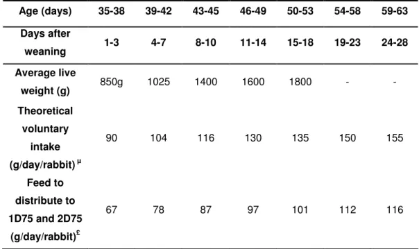 Table 6: Feed restriction programme according to the age 