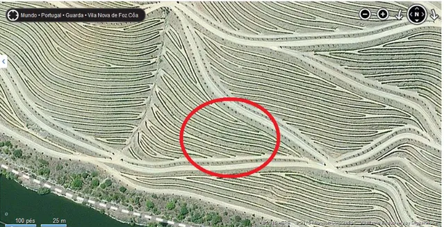 Ilustração 3 - Localização da Parcela do Ensaio na Quinta da Cabreira   (Fonte: Bing.com/maps - Acedido em 2015) 
