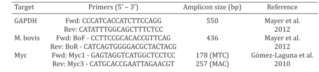 Table 2. Primers used in the present study