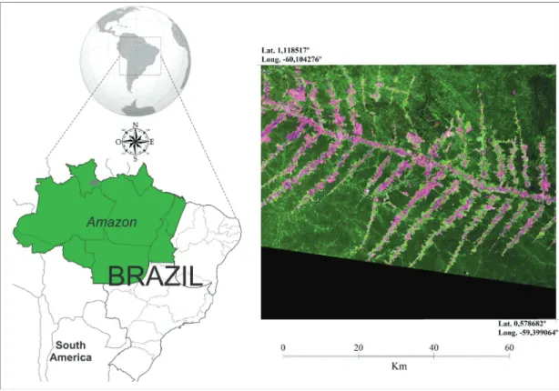 Figure 1. Study area in gray on the map of Brazil magnified by the image sensor TM onboard Landsat-5 and constituted false-color  R1G2B3 (2010).