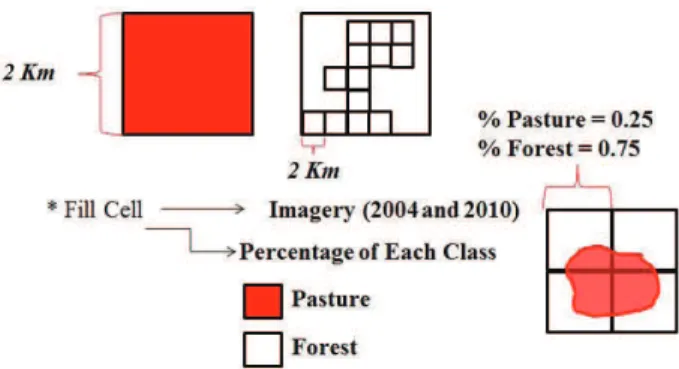 Figure 2. Grid cell method applied to the percentage analysis of  each class studied.