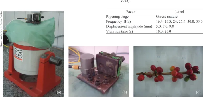 Figure 1. Vibrating machine (a), attachment system for samples (b) and a sample of coffee branch (c) (Viçosa, Minas Gerais State,  Brazil, 2013).