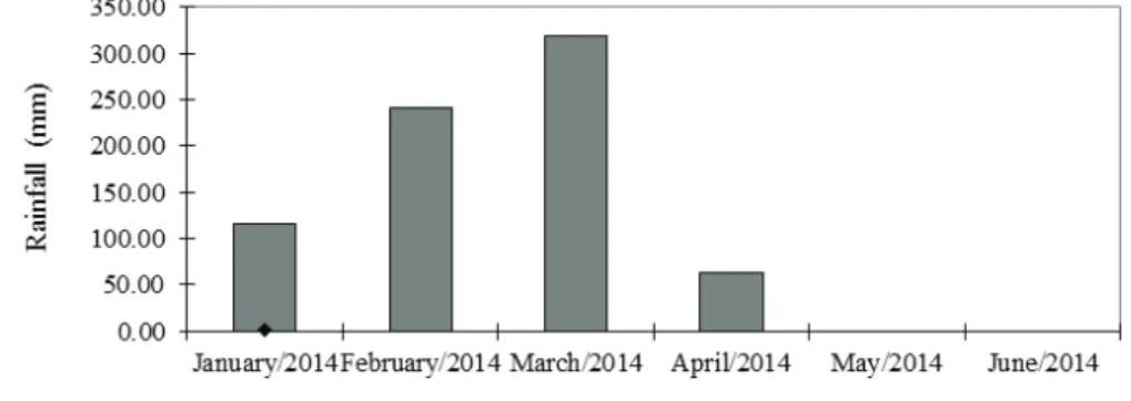 Figure 1. Mean rainfall observed from January through June 2014 (Quirinópolis, Goiás State, Brazil).