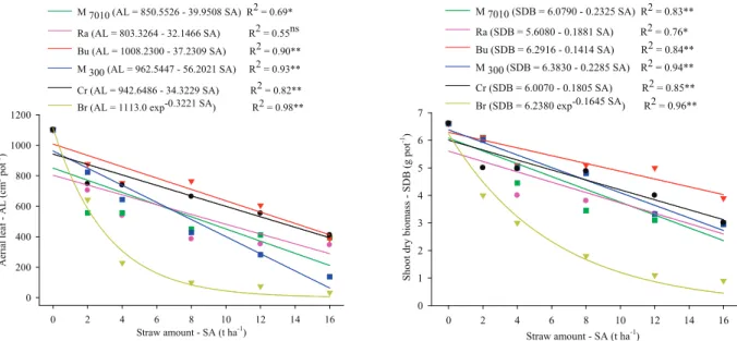 Table 4. Root volume and root dry weight of Cenchrus echinatus L., at 50 days after sowing, as a function of cover crops and amount  of straw on the soil surface (Bom Jesus, Piauí State, Brazil, 2013).