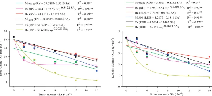 Figure 3. Regression analysis of root volume and root dry biomass of Cenchrus echinatus L