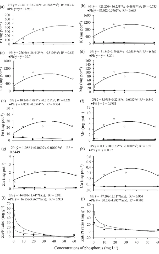 Figure 2. Accumulation of macro and micronutrients and zinc/phosphorus ratio in common bean grown in nutrient solution under  concentrations of phosphate (Pi) and phosphite (Phi)