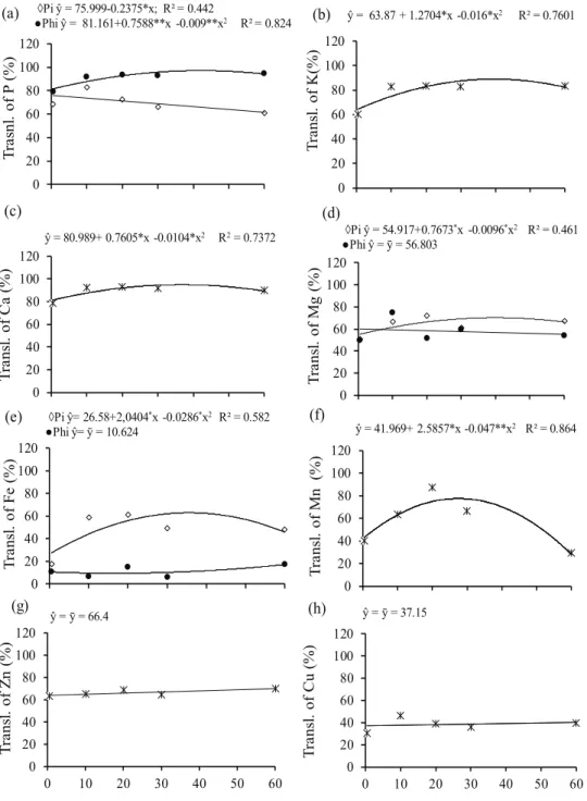 Figure 3. Translocation (Transl.) of macro and micronutrients in common bean grown in nutrient solution under concentrations of  phosphate (Pi) and phosphite (Phi)