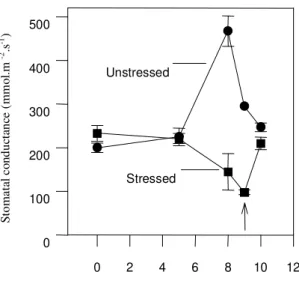 FIG. 4. Time course of stomatal conductance. Each data represents average of 3 replicates.