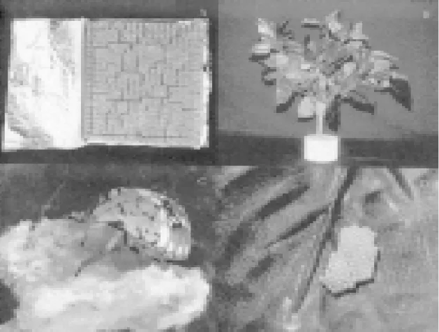 FIG . 1. Artificial diet used to rear nymphs of  Nezara viridula  (A); artificial plant – a model to mimic a natural soybean plant – used as egg mass substrate (B); a late instar nymph feeding on the artificial diet (C);