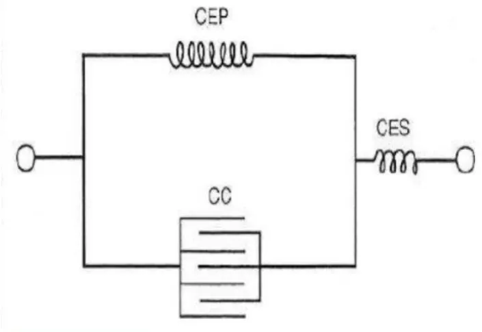 Figura  3:  Modelo  de  Hill  (CEP  –  componente  elástica  em  paralelo;  CES  –  componente  elástica  em  serie;  CC  –  componente contrátil) Knudson (2003)