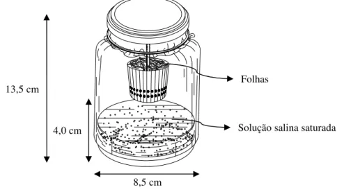 Figura 3.4  – Esquema geral do dispositivo utilizado na obtenção das isotermas de equilíbrio.