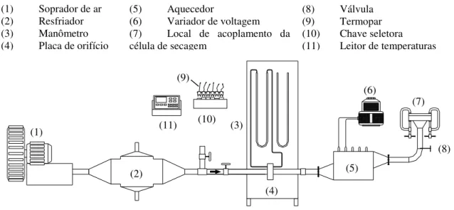Figura 3.5  – Linha de fornecimento de ar utilizada na secagem em leito fixo com escoamento  de ar cruzado à amostra.