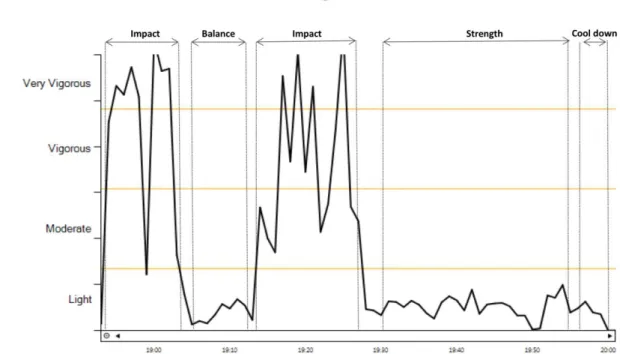 Figure 2. Representation of one training session intensity through accelerometer output obtained  from the ActiLife software
