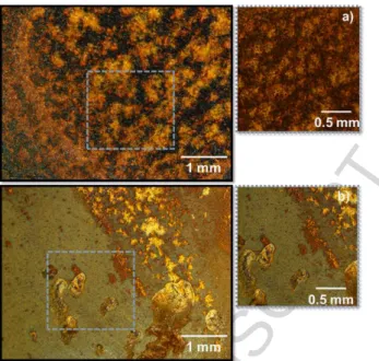 Figure 4. The cast iron substrates after 1-week immersion a) in a 50 mM NaCl solution and  b) in a 50 mM NaCl + 5 mM Na 2 HPO 4  solution