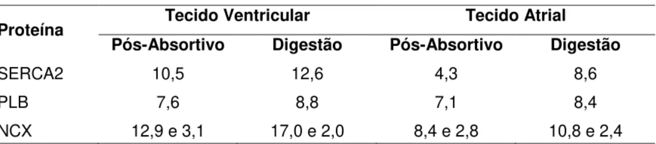 Tabela 2. Valores da quantificação das proteínas (µg.mL -1 ) nos tecidos atrial e ventricular de  P