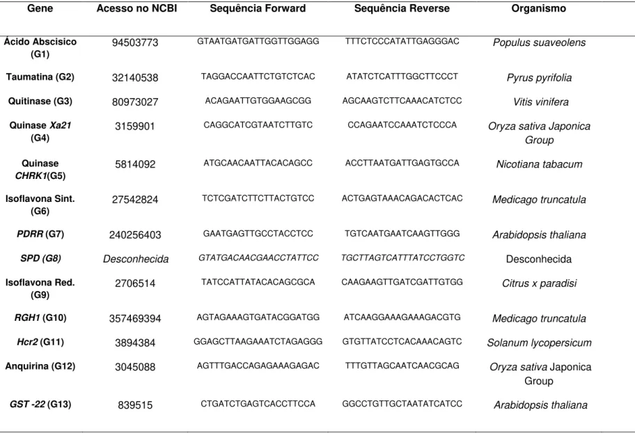 Tabela 3. Sequências dos Primers utilizados no PCR quantitativo em tempo real. 