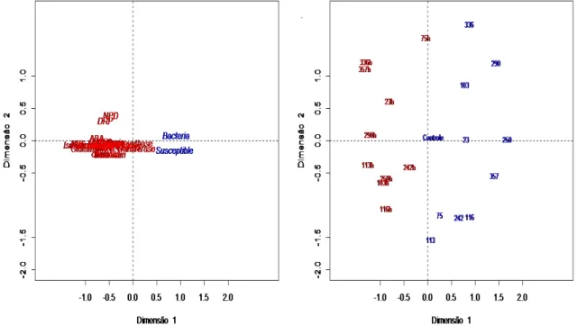 Figura  6.   Correlação  canônica  para  onze híbridos  assintomáticos  e  fonte  de  inóculo  suscetível  para  genes  de  resistência,  quantificação  de  bactérias  e  sintomas