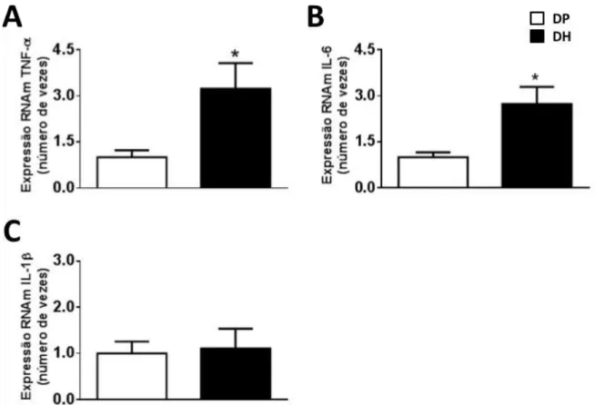 Figura  5.  Expressão  do  RNAm  no  NTS  do  A)  fator  de  necrose  tumoral-α  (TNF-α),  B)  interleucina-6 (IL-6), e C) interleucina-1β (IL-1β) em ratos alimentados com dieta padrão (DP)  ou dieta hiperlipídica (DH) por 6 semanas