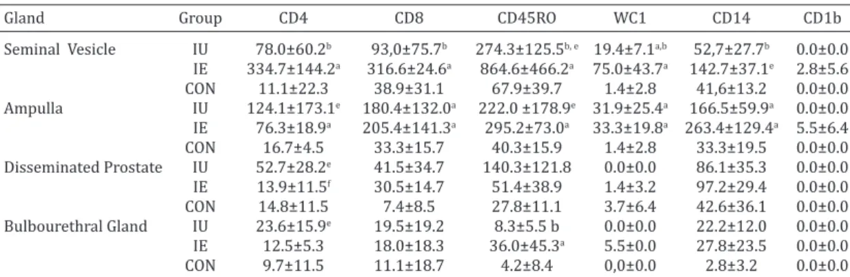 Table 3. CD4, CD8, CD45RO, WC1, CD14 AND CD1b cells per (mm 2 ) in the accessory sex glands of  rams inoculated with  Actinobacillus seminis