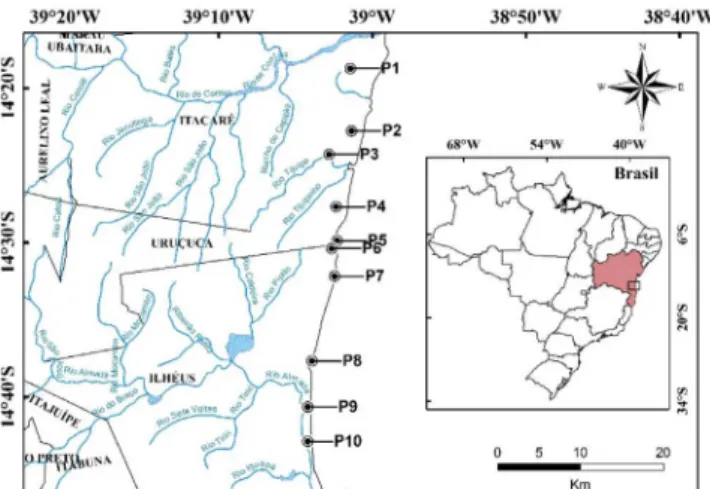 Figura 1. Mapa com a localização dos pontos de amostragem (P1 a P10)