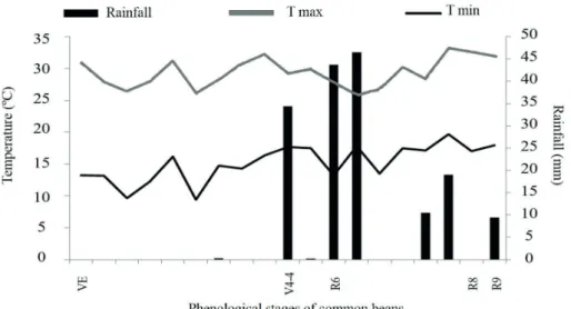 Table 2. Soil cover rate, straw quantity and N content in the  straw dry matter for single maize, maize intercropped  with brachiaria and single brachiaria, before sowing  the common bean.