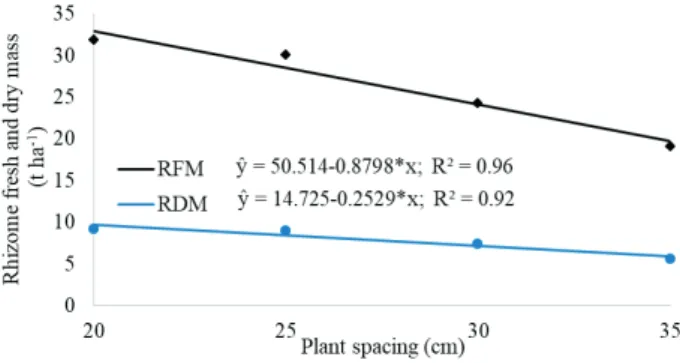 Figure 3. Root fresh (RFM) and dry mass (RDM) of arrowroot  plants  (‘Comum’  cultivar),  as  a  function  of  plant  spacing, in the cropping rows.