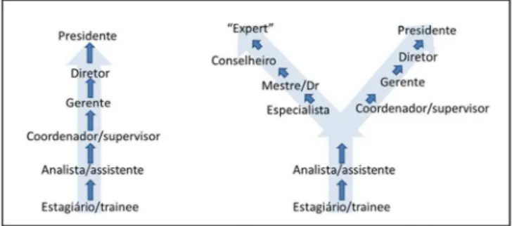 Figura 3. Evolução simplificada da carreira em “linha” e em “Y”