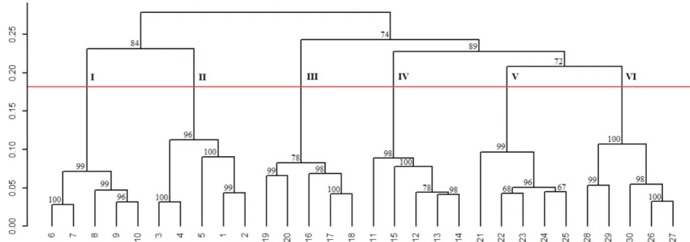 Table 1. Polymorphisms obtained in progenies of Plukenetia  volubilis using three AFLP primers combinations.