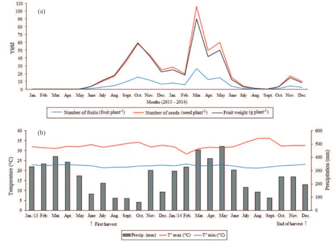 Figure 1. Number of fruits (fruit plant -1 ), number of seeds (seed plant -1 ) and fruit weight (g plant -1 ) (a) evaluated monthly in sacha  inchi accessions grown in central Amazon, and monthly mean rainfall and maximum and minimum temperatures (b) for  