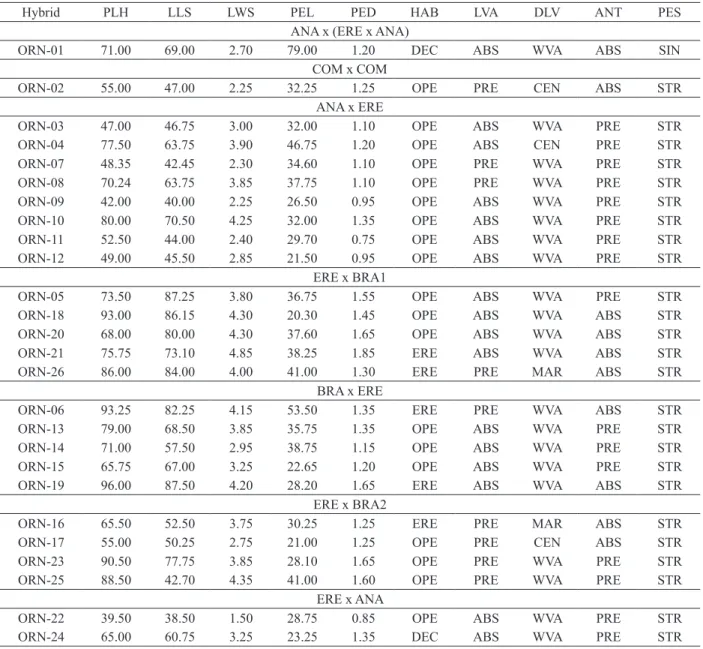Table 2. Quantitative and qualitative plant traits of 26 ornamental pineapple hybrids grouped by progenies.