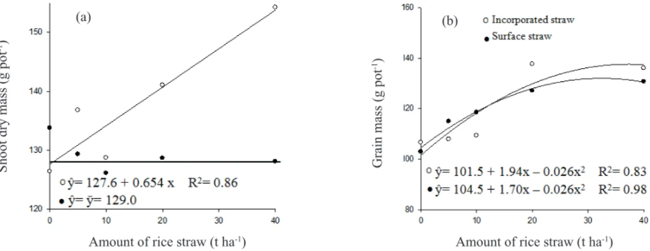 Figure 2. IRGA 424 rice cultivar shoot dry mass (a) and grain mass (b), as a function of the amounts of straw added.