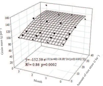 Figure  3.  Gaussian  response  surface  for  the  IRGA  424  rice  cultivar grain mass, as a function of months before  sowing and amounts of rice straw added.