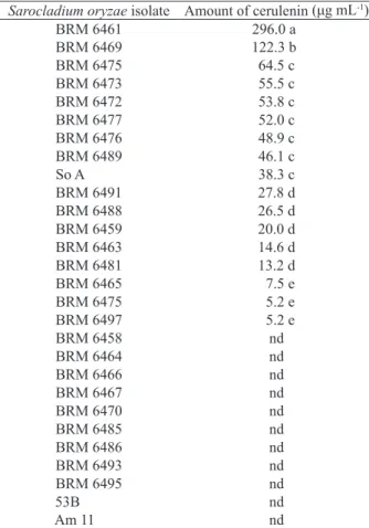 Table 3. Number of conidia and appressoria formed during the exposure to Sarocladium oryzae  filtrates of the BRM 6461 and BRM  6493 isolates.