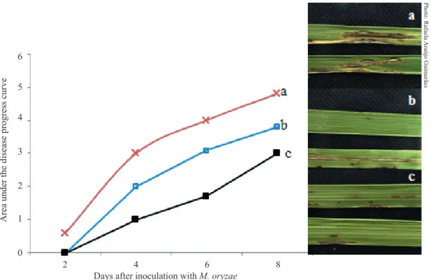 Figure 1. Effect of the Sarocladium oryzae filtrate on the germination and appressorium formation in Magnaporthe oryzae, where: 