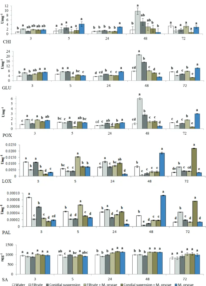 Figure 3. Enzyme activity and salicylic acid content at rice leaf collection times (3, 5, 24, 48 and 72 h after the inoculation with  M