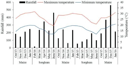 Figure 1. Rainfall and monthly maximum and minimum temperatures, during the experiment with maize and sorghum crops, in  Frederico Westphalen, Rio Grande do Sul State, Brazil.