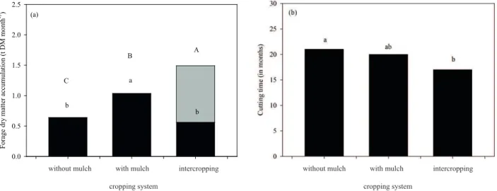 Figure  5.  Effect  of  cropping  systems  (forage  cactus  without  mulch,  mulch-based  forage  cactus  and  forage  cactus-sorghum  intercropping) on the average monthly dry matter accumulation rate (a) and cutting time (b) of irrigated forage cactus  (