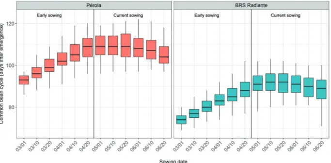 Figure 3.  Simulated cycle length of the Pérola and BRS Radiante common bean cultivars for the sowing dates tested